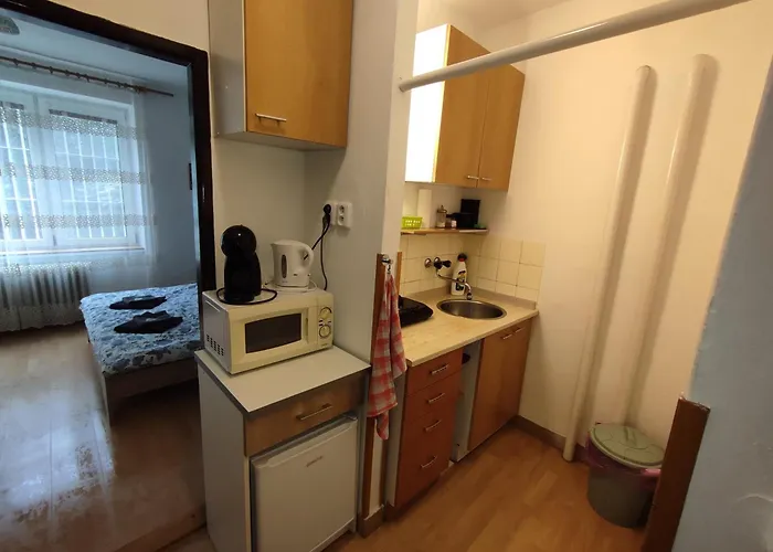 U Mendlaku Apartment Brünn